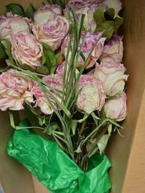 Dried Pink Rose Bouquet Home Accent - Box Is 27.25" X 8" X 6"